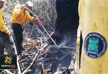 Reactivación del fuego en el humedal Térraba Sierpe obliga a retomar los trabajos de extinción