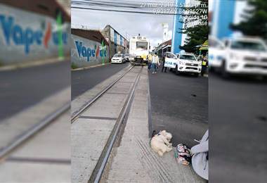 Una mujer está grave y su perro murió tras ser atropellados por el tren en Sabana