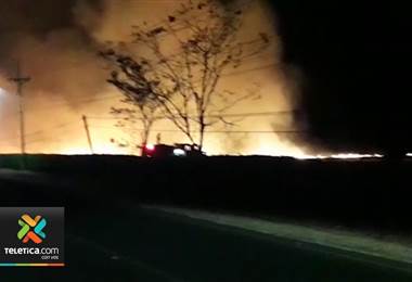 4 horas y 20 bomberos fueron necesarios para apagar extensa quema de charral en Santa Cruz