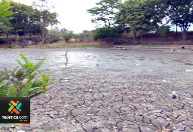 Falta de lluvias provoca que los lagos de La Sabana y el parque de La Paz estén prácticamente secos