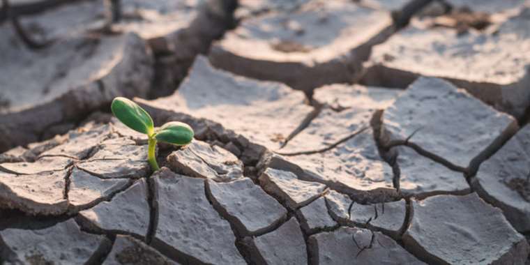 Costa Rica será anfitrión de conmemoración de la lucha contra la sequía