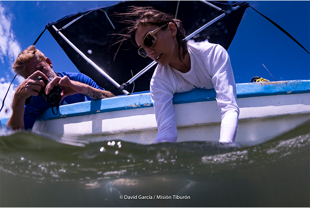 Misión Tiburón: El sueño que persigue una pareja de biólogos