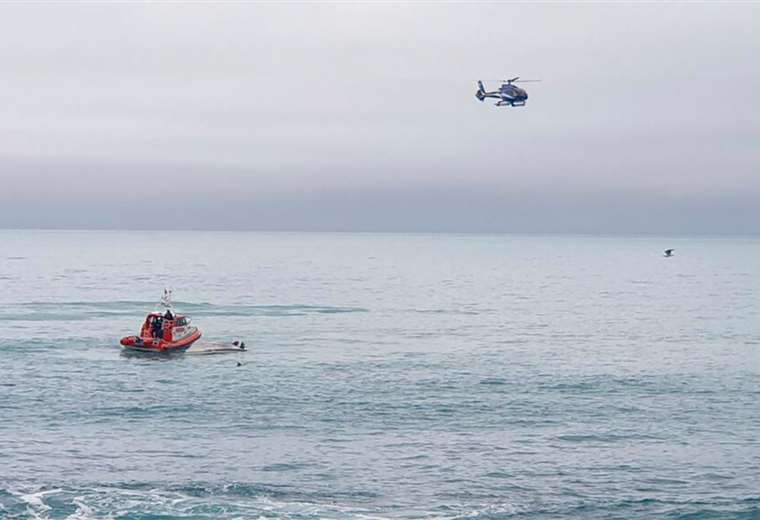 Cinco personas murieron luego de que bote chocara con ballena