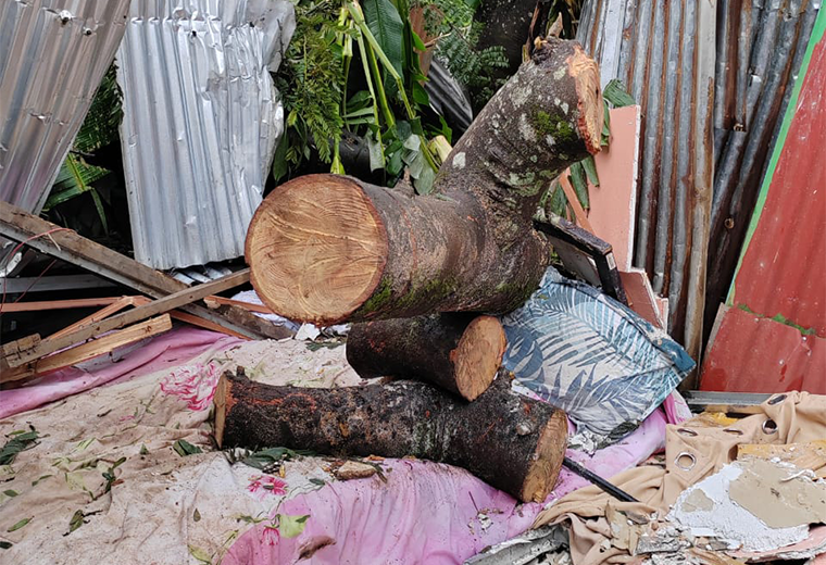 Padre y su hija dormían cuando enorme árbol les cayó encima