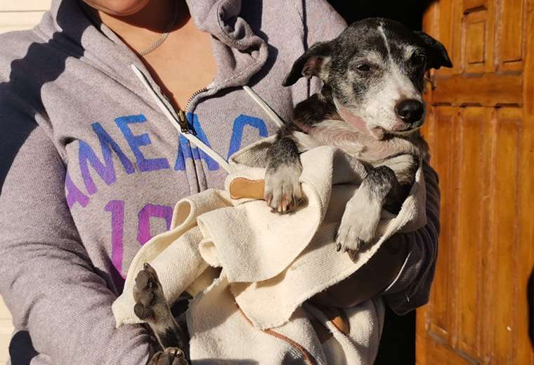 Encuentran cuerpo de persona tras incendio en casa en Alajuela