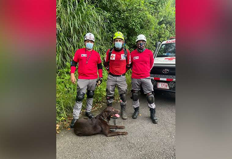 Conozca la unidad K-Sar: los héroes de cuatro patas de Costa Rica