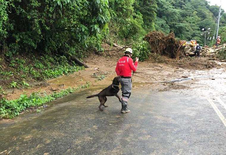 Conozca la unidad K-Sar: los héroes de cuatro patas de Costa Rica