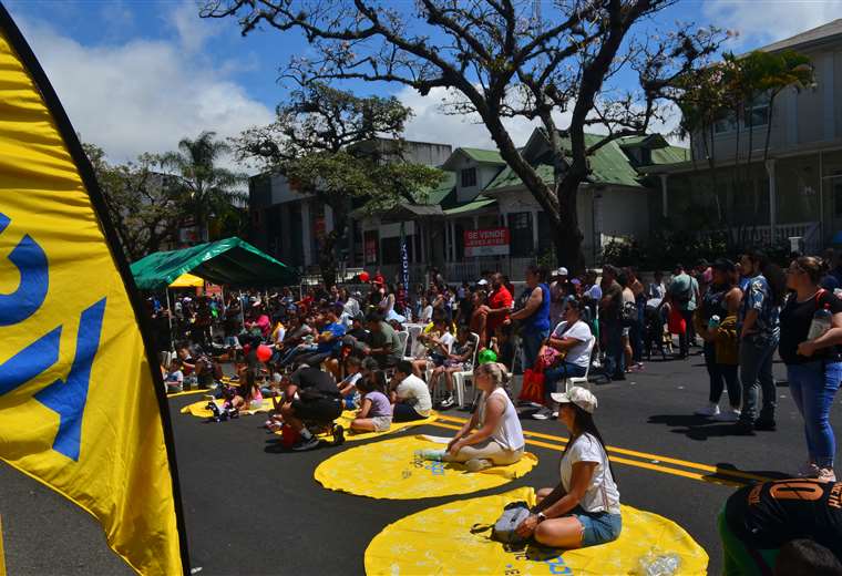 Actividades para este fin de semana para mascotas