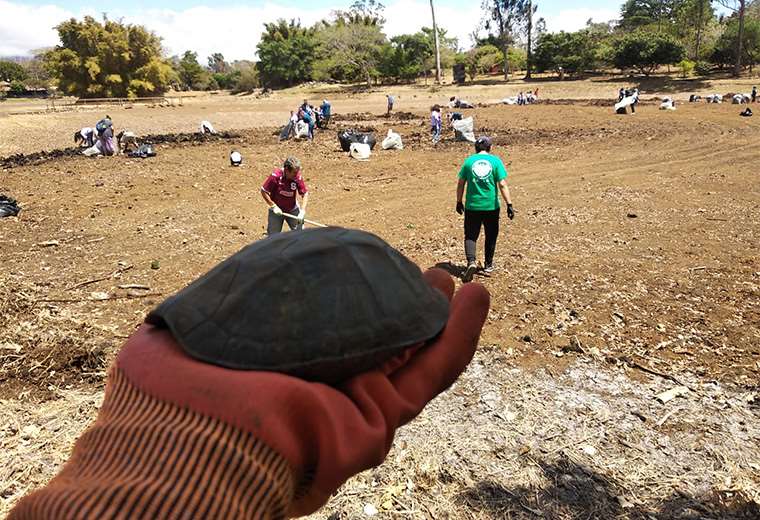 Voluntarios limpian lago de La Sabana y retiran casi 9.000 kilos de basura