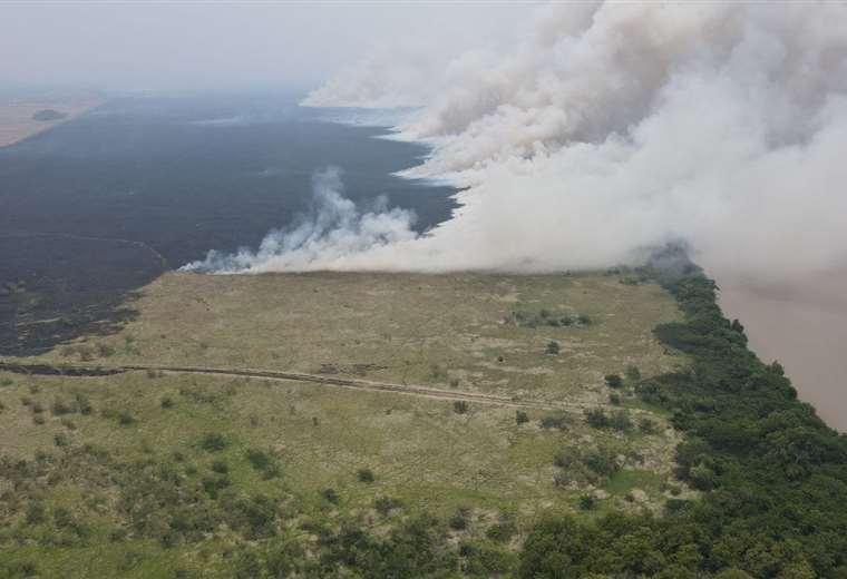 Incendio forestal en Palo Verde