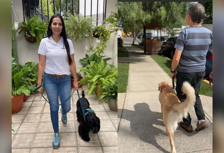 Caminar con su perro: una actividad esencial para su bienestar y socialización