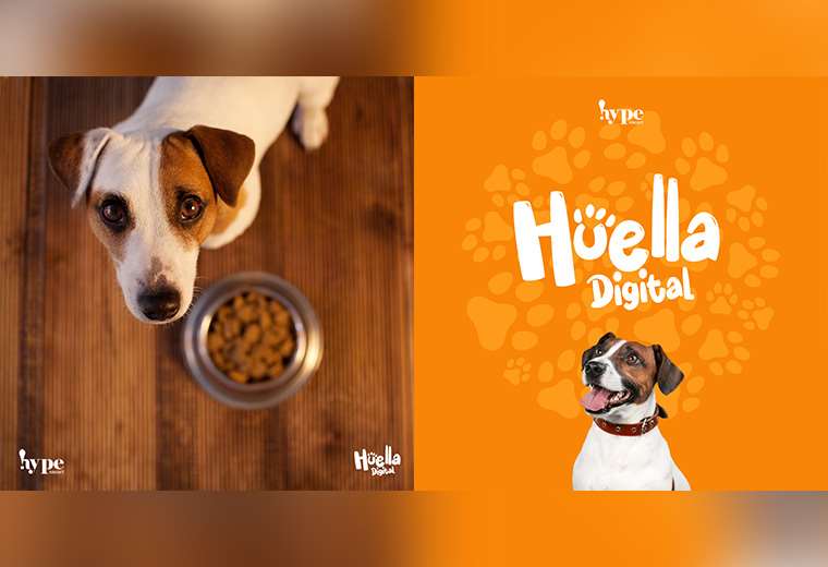 Creadores de contenido unen sus redes sociales para recolectar alimento para animales en r