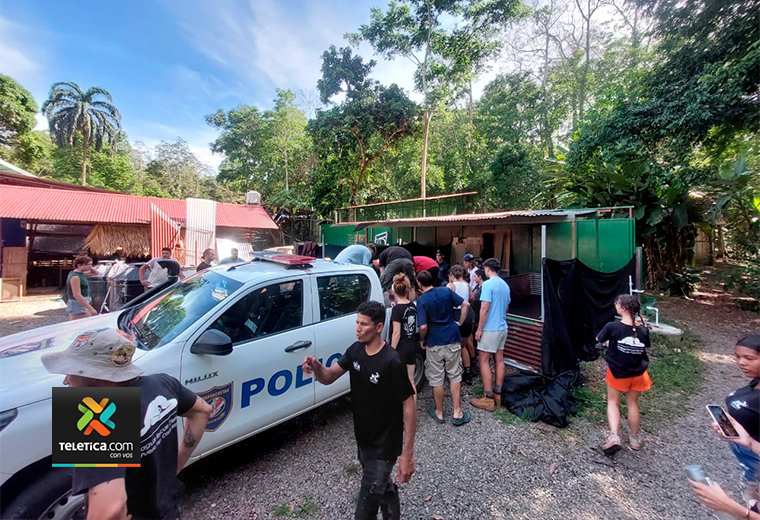 Policía rescata 10 tortugas verdes que iban a ser destazadas y detiene a seis sospechosos