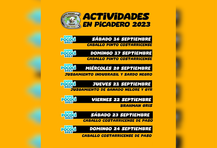 Carnaval Expo Pococí