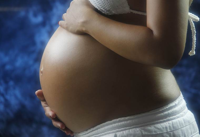 Una economista cuestiona el rigor de las creencias sobre embarazo y crianza