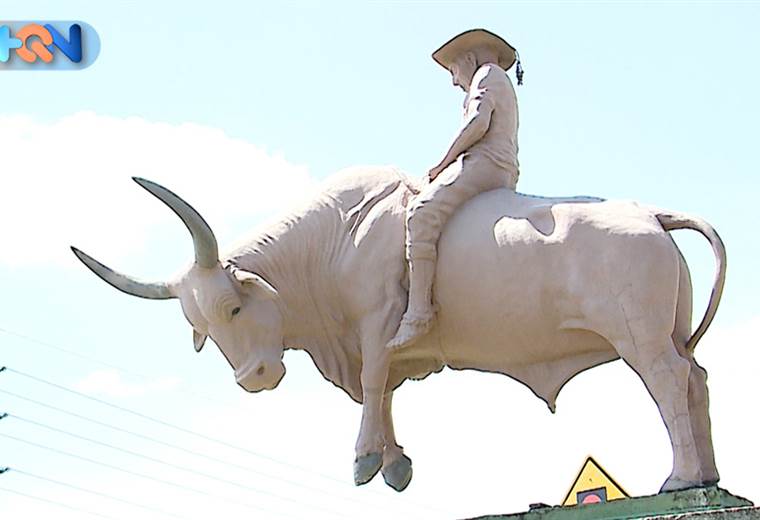 Un toro representa la forma de vivir en Belén, Guanacaste