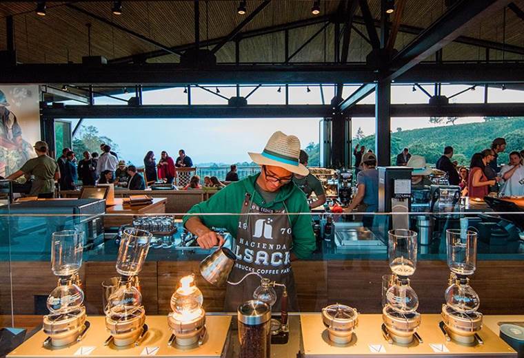 Por qué al exCEO de Starbucks le preocupó mucho el café de Costa Rica en su reciente visita al país