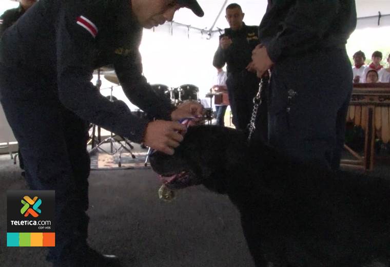 16 perros de la Unidad Canina concluyeron su misión en materia de seguridad ciudadana
