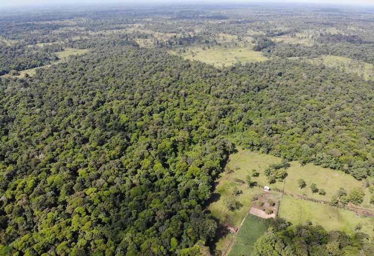 Banco Mundial concede $60 millones para comunidades que protegen bosques