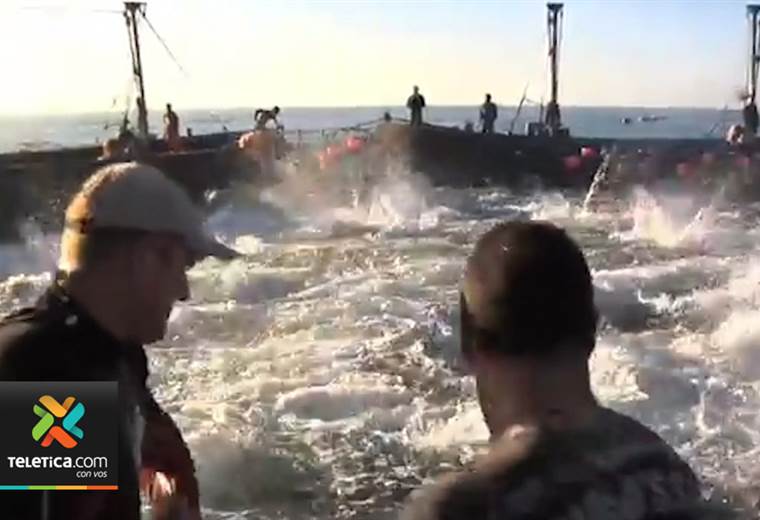 Cámara de Atuneros desmiente que se esté regalando atún capturado dentro de las aguas del país