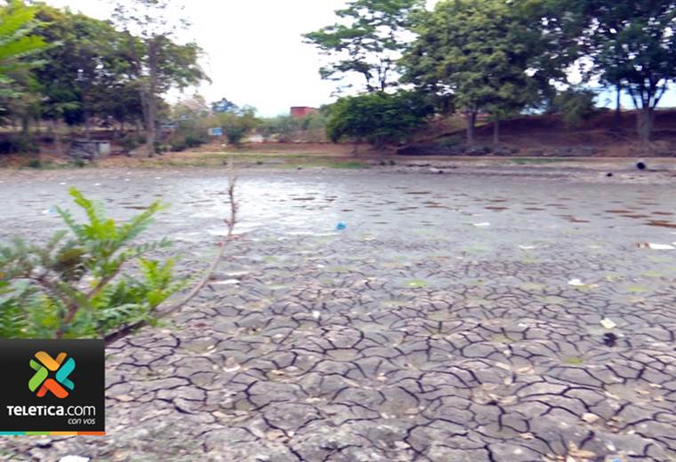 Falta de lluvias provoca que los lagos de La Sabana y el parque de La Paz estén prácticamente secos