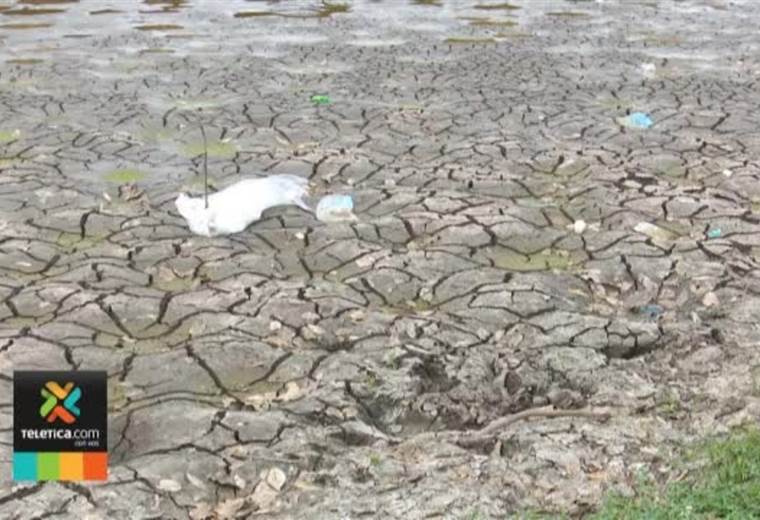 Falta de lluvias provoca que los lagos de La Sabana y el parque de La Paz estén prácticamente secos