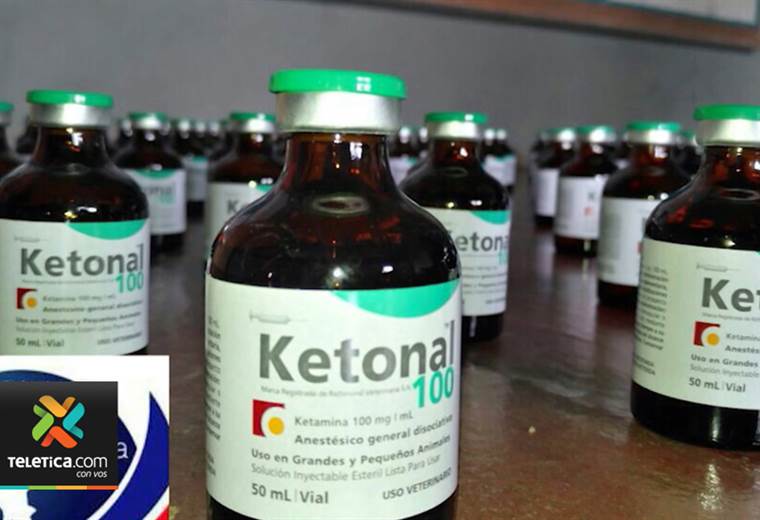 Decomiso de ketamina en frontera norte deja al descubierto el crecimiento del fármaco en el país