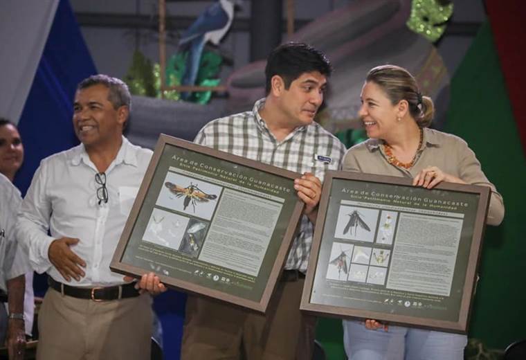 Decisión de nombrar insectos en honor a pareja presidencial genera indignación entre ambientalistas