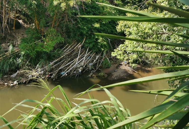 Autoridades hallaron cuerpo a la orilla del río Virilla detrás del Castella en Heredia