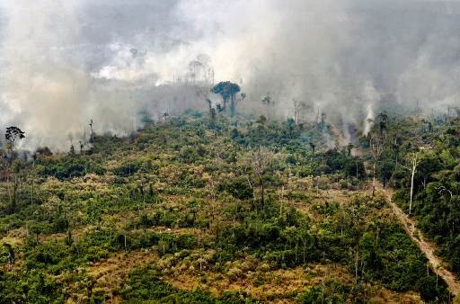 Amazonía bajo presión de sequías, especulación y políticas públicas