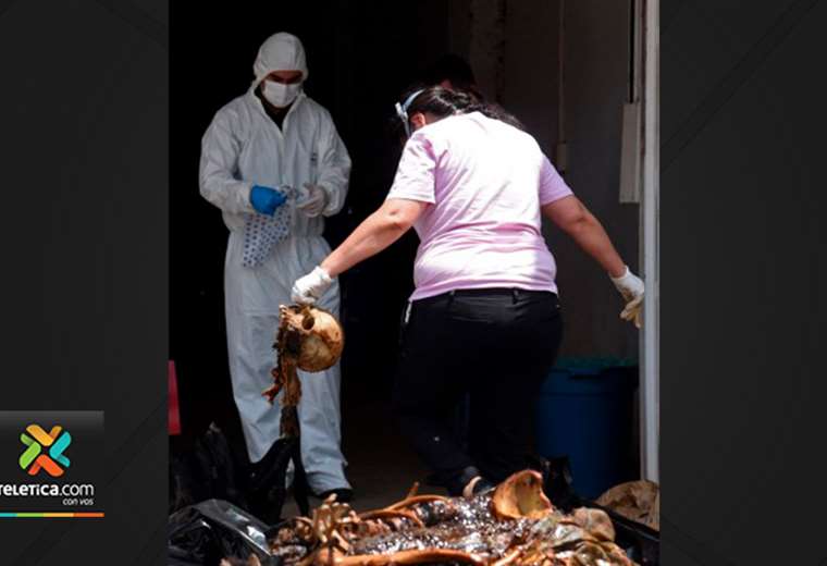 Descubren 7 cadáveres en contenedor que vino de Serbia a Paraguay