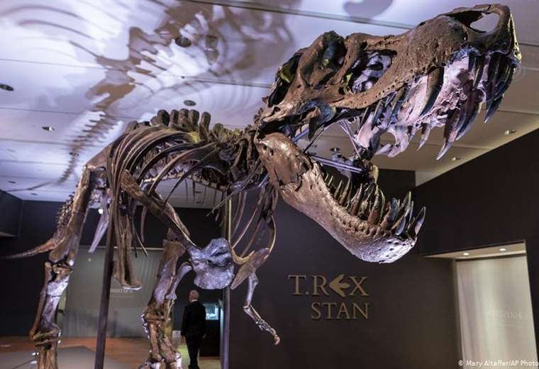 Subastan esqueleto de T-Rex por casi $32 millones en Nueva York