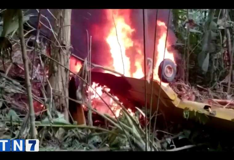 Video: avioneta es consumida por las llamas tras caer en Matina