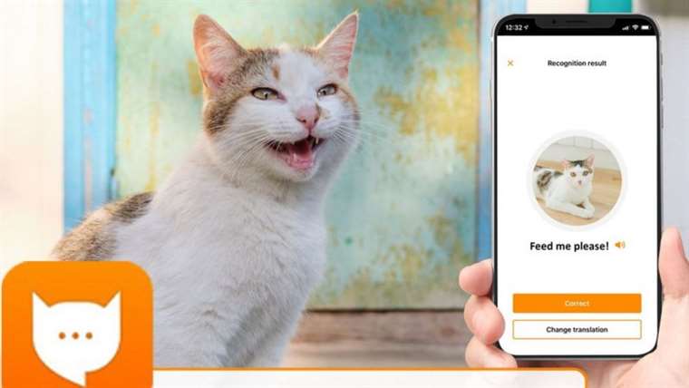 La aplicación que puede traducir los maullidos de su gato