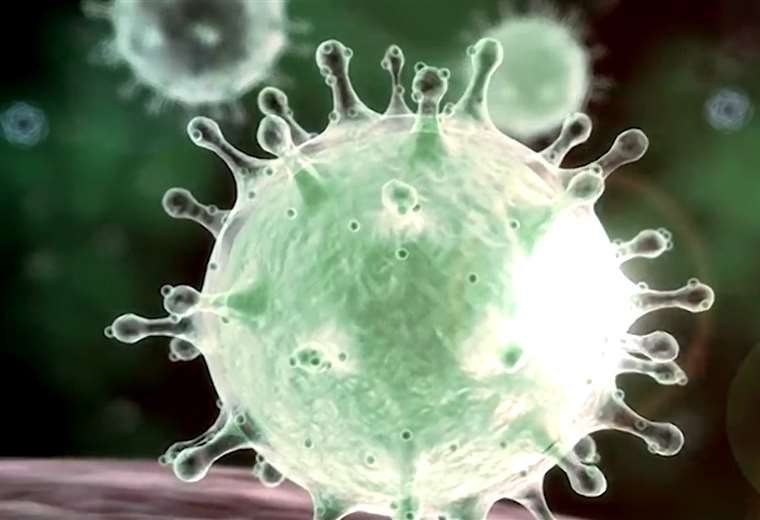 En Profundidad: ¿Qué hemos descubierto del nuevo coronavirus?