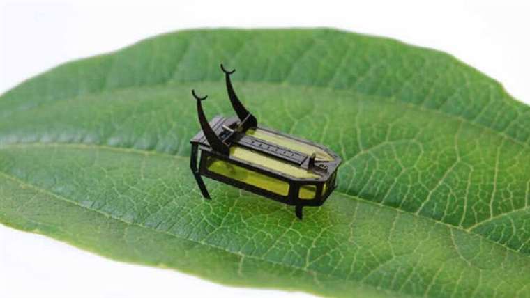 Científicos crean un robot del tamaño de un escarabajo