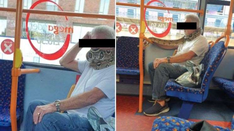 Usuario de bus utiliza una serpiente como mascarilla