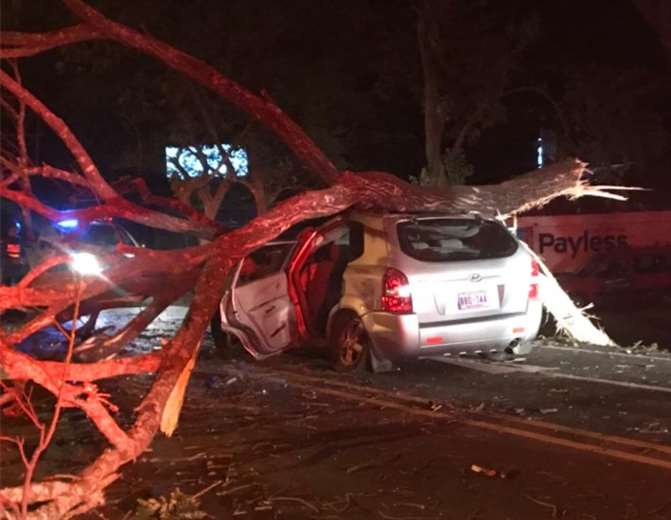 Hombre muere tras chocar su vehículo contra un árbol que cayó sobre la carretera