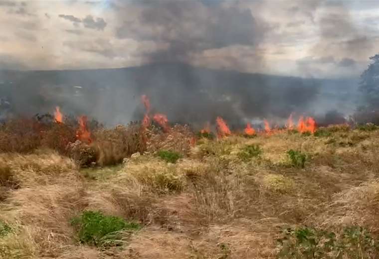 Bomberos trabaja en apagar incendio en charral cerca del aeropuerto Juan Santamaría