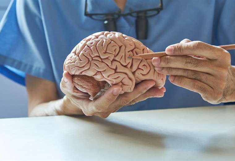 ¿Por qué aún no hay cura para el alzhéimer si se detectó hace más de 110 años?