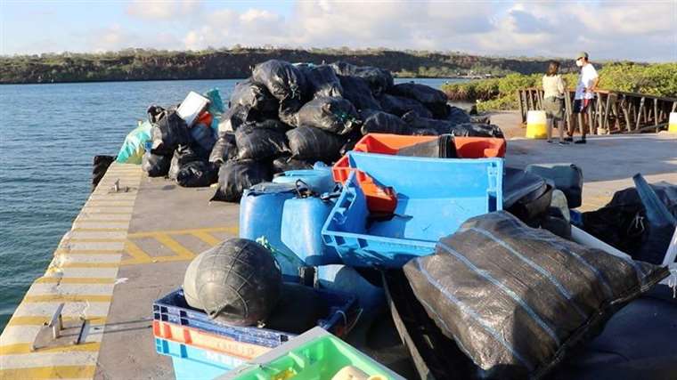 Voluntarios recolectan 2,1 toneladas de basura en Galápagos