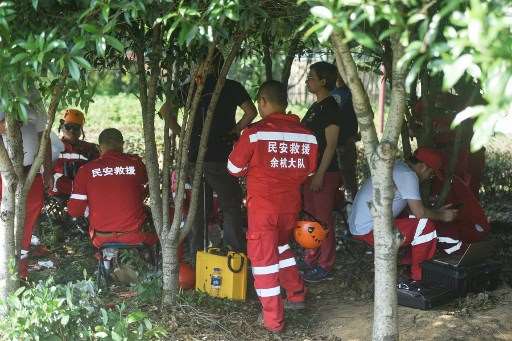 Pánico en China tras la huida de varios felinos de un parque