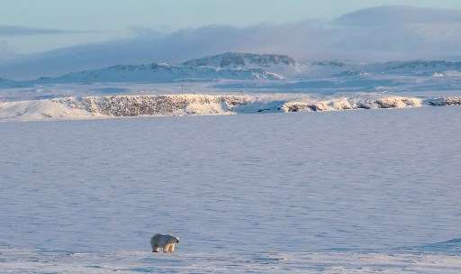 El termómetro se dispara en el Ártico, advierte informe