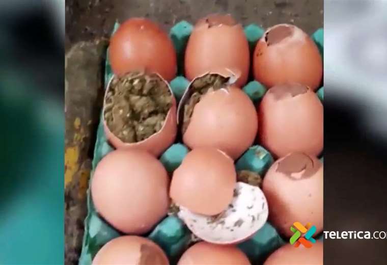 Huevos rellenos con marihuana: así intentaron burlar seguridad de cárcel en Perú