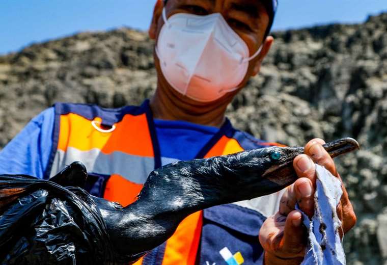 Perú declara emergencia ambiental por derrame de petróleo provocado por Tonga