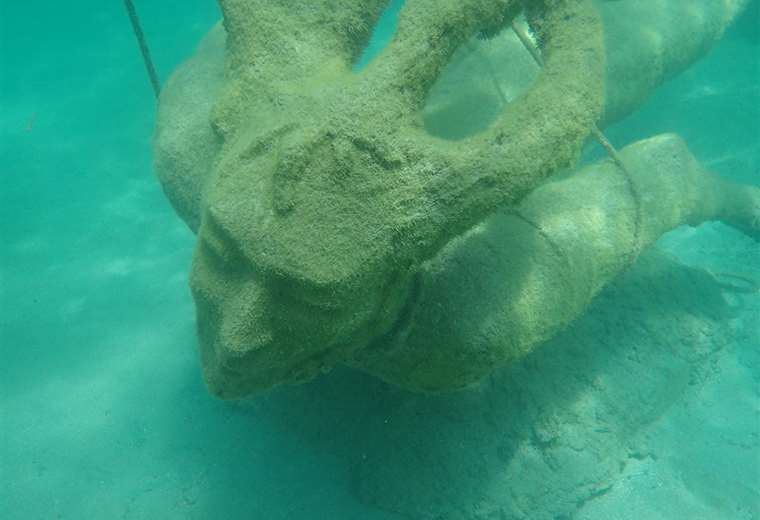 Cacique Garabito, tortuga y mantarraya: los nuevos arrecifes artificiales