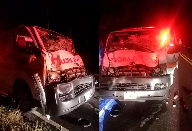 Fuerte colisión entre ambulancia y dos animales bovinos en Puntarenas