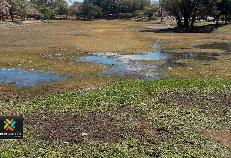 Lago del Parque de La Paz está seco otra vez