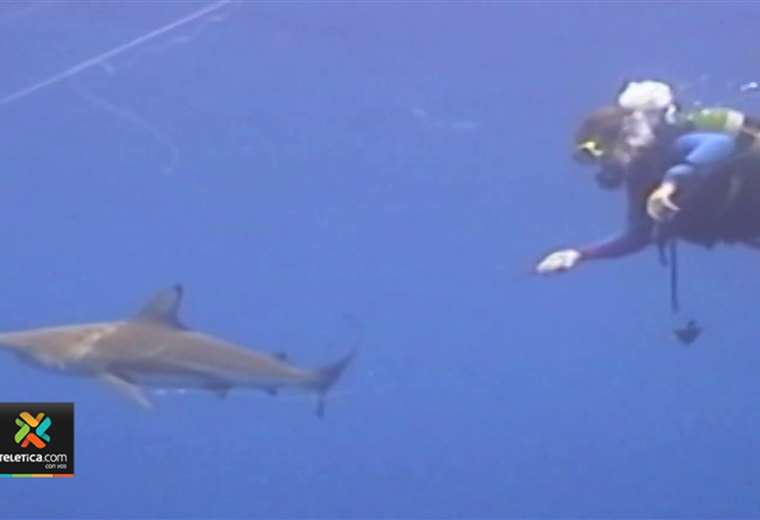 Hombre fue atacado por tiburón mientras surfeaba en playa guanacasteca