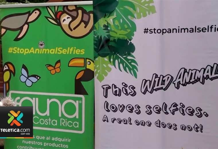 Monteverde se une a la campaña “Stop animal selfie”